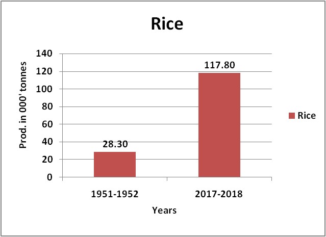 Rice-Production-Map